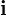 \mathbf{i}