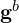 \mathbf{g}^b