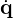 \dot{\mathbf{q}}