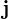 \mathbf{j}