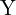 \text{Y}
