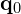 \mathbf{q}_0