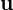 \mathbf{u}