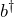 b^\dagger