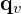 \mathbf{q}_v